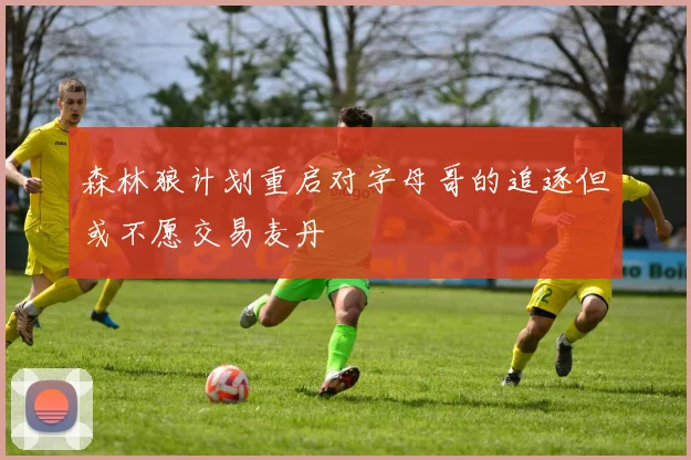 森林狼计划重启对字母哥的追逐但或不愿交易麦丹