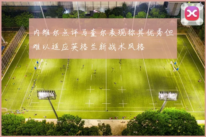 内维尔点评马奎尔表现称其优秀但难以适应英格兰新战术风格