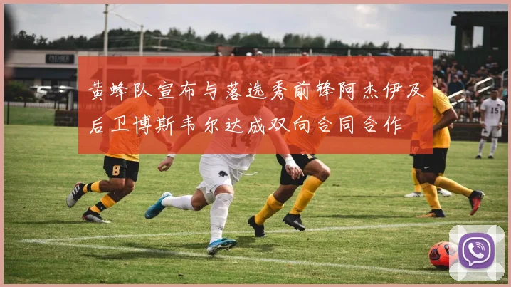 黄蜂队宣布与落选秀前锋阿杰伊及后卫博斯韦尔达成双向合同合作